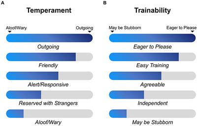 Genome-Wide Association Studies Reveal Neurological Genes for Dog Herding, Predation, Temperament, and Trainability Traits